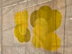 Vintage Desso Tapijt – Retro Geel/Mosterd Design, Ophalen