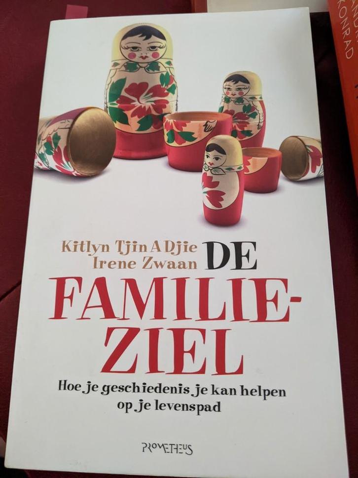 Irene Zwaan - De familieziel, Boeken, Wetenschap, Gelezen, Ophalen of Verzenden