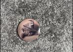 Poezen badge, Postzegels en Munten, Ophalen of Verzenden