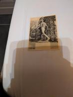 Mariemont, Ophalen of Verzenden, Gelopen