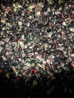 Mais Zwarte ( gedroogd ), Dieren en Toebehoren, Ophalen, Vee