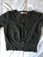 Gilet grijs Hampton Bays maat S, Kleding | Dames, Truien en Vesten, Ophalen of Verzenden, Zo goed als nieuw, Hampton Bays, Maat 36 (S)