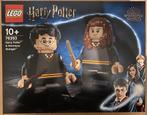LEGO 76393 Harry Potter Harry Potter & Hermione Granger, Ophalen of Verzenden, Nieuw, Complete set, Lego