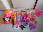 Lot poupées barbie avec accessoires et vêtements, Utilisé, Fashion Doll