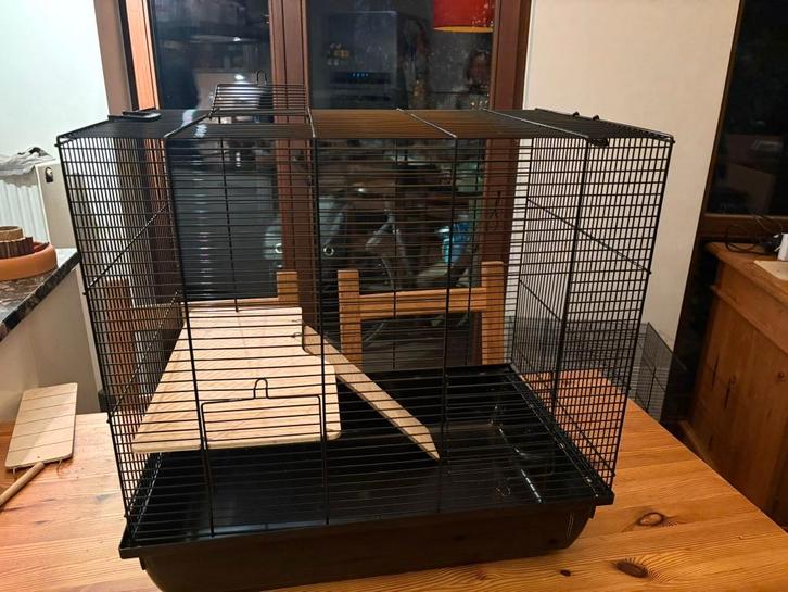 Hamsterkooi, Dieren en Toebehoren, Knaagdieren en Konijnen | Hokken en Kooien, Gebruikt, Kooi, Minder dan 60 cm, Minder dan 75 cm