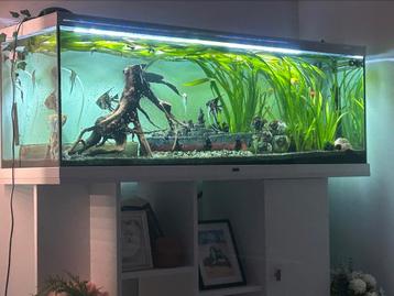 Aquatlantis aquarium 150 style 