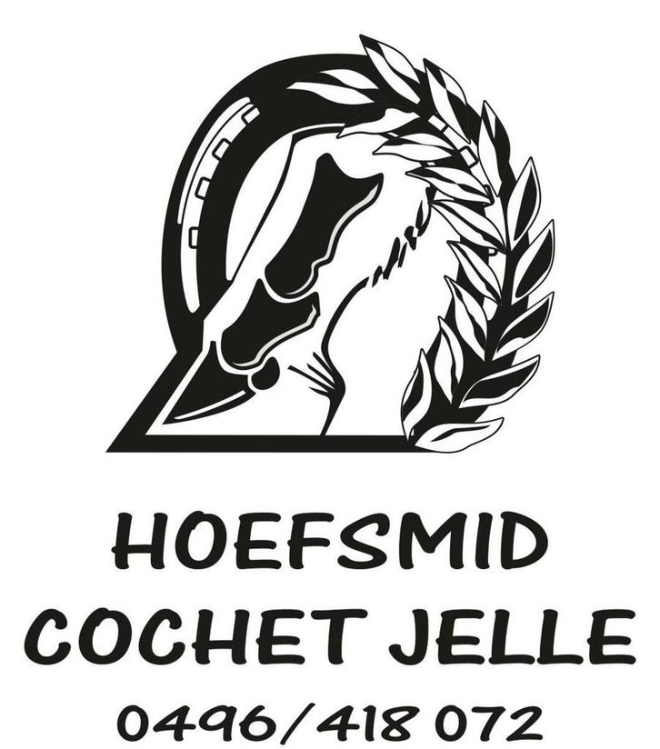 Hoefsmid aangeboden, Dieren en Toebehoren, Paarden en Pony's | Verzorgingsproducten, Verzenden