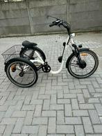 Tricycles adultes Électriques DAMIUS modèle Evasion 100km, Fietsen en Brommers, Ophalen, Zo goed als nieuw