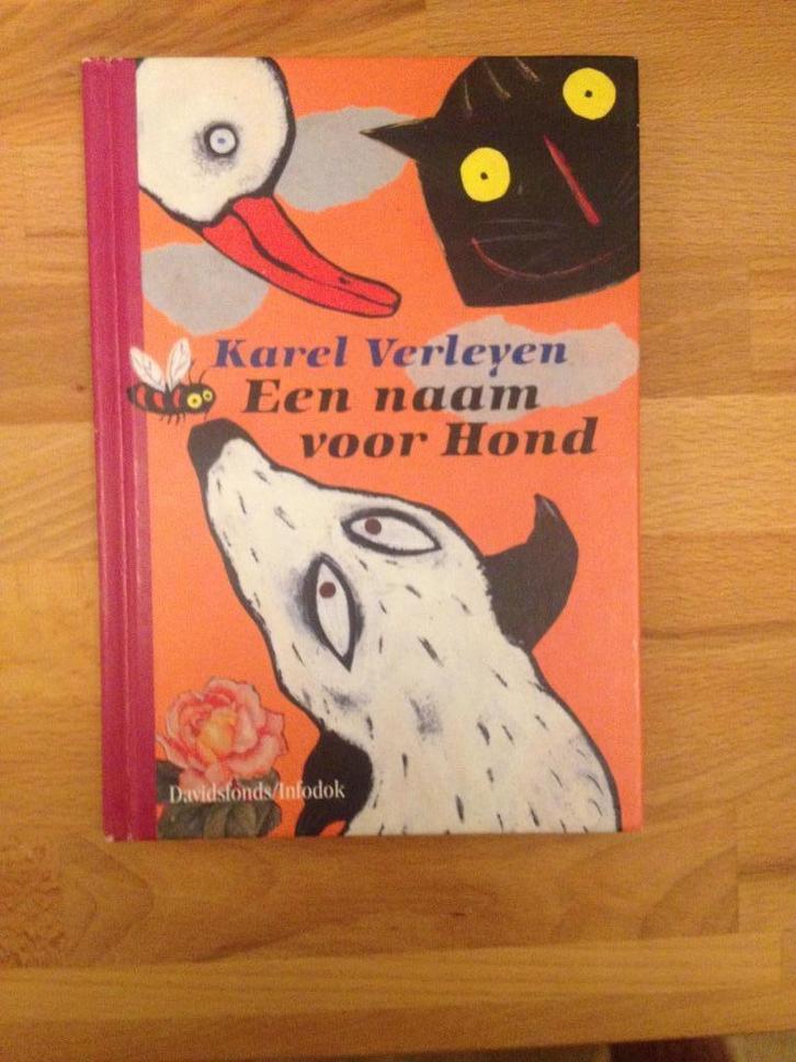 Karel Verleyen - Een naam voor Hond, Boeken, Kinderboeken | Jeugd | 10 tot 12 jaar, Zo goed als nieuw, Ophalen of Verzenden
