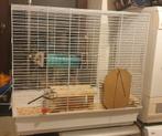 Cage chinchilla + pied, Animaux & Accessoires, 75 à 110 cm, Cage, Enlèvement, Utilisé
