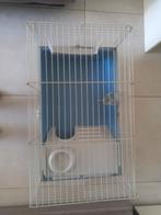 Konijnen/cavia hok, Dieren en Toebehoren, Ophalen, Hok, Cavia