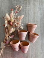 5 nieuwe kruidenpotjes van Herbes de Jardin, Enlèvement, Neuf