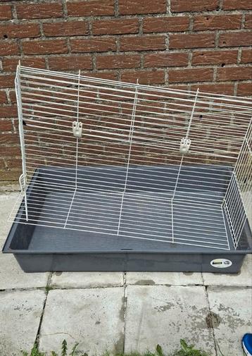 Konijnenkooi binnen beschikbaar voor biedingen