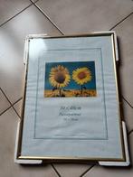 Nieuwe kader., Enlèvement