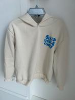 Toffe hoodie jongen. - mt 11/12 jaar, Kinderen en Baby's, Kinderkleding | Maat 146, Ophalen of Verzenden, Gebruikt, Jongen, Trui of Vest