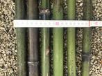 bamboestokken, Tuin en Terras, Bloembakken en Plantenbakken, Ophalen, 100 cm of meer, Nieuw, Overige vormen