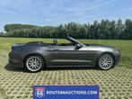 Ford Mustang Cabriolet 2015 | Route 66 auctions, Auto's, Automaat, Gebruikt, Cabriolet, Bedrijf