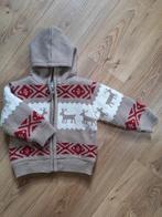 Trui (winter - kerst) - Maat 86, Enlèvement, Utilisé, Garçon, Manteau