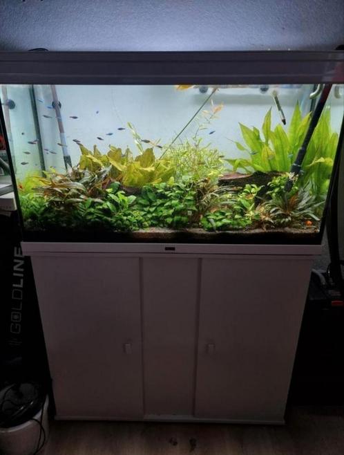 Aqualantis 240L, Dieren en Toebehoren, Vissen | Aquaria en Toebehoren, Zo goed als nieuw, Ophalen of Verzenden