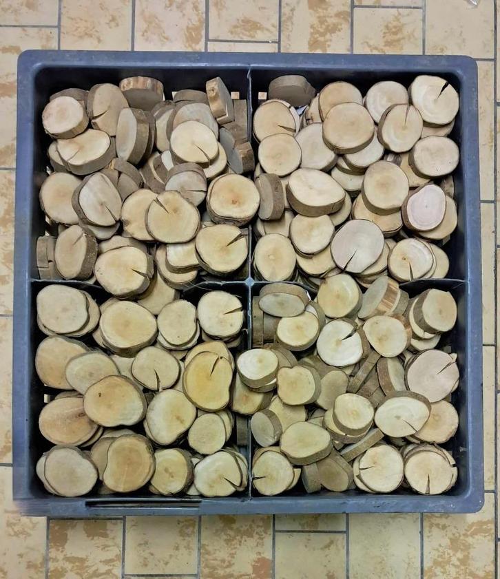 houten schijfjes hazelaar   +/- 1 cm dik  diameter  4 - 6 cm, Hobby en Vrije tijd, Knutselen, Nieuw, Knutselwerk, Ophalen of Verzenden