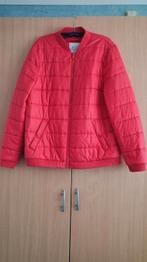 Een mooie jas voor elke dag., Kleding | Dames, Jassen | Winter, Ophalen, Zo goed als nieuw, Maat 42/44 (L)