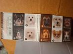 Timbres en parfait état - 10 timbres - une feuille de chiens, Enlèvement