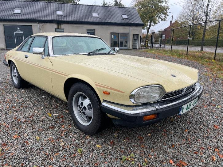 Jaguar oldtimer te koop, Auto's, Oldtimers, Particulier, Centrale vergrendeling, Lederen bekleding, Lichtmetalen velgen, Mistlampen