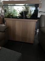 Aquarium juwel 180 met kast, Huis en Inrichting, Ophalen, Gebruikt