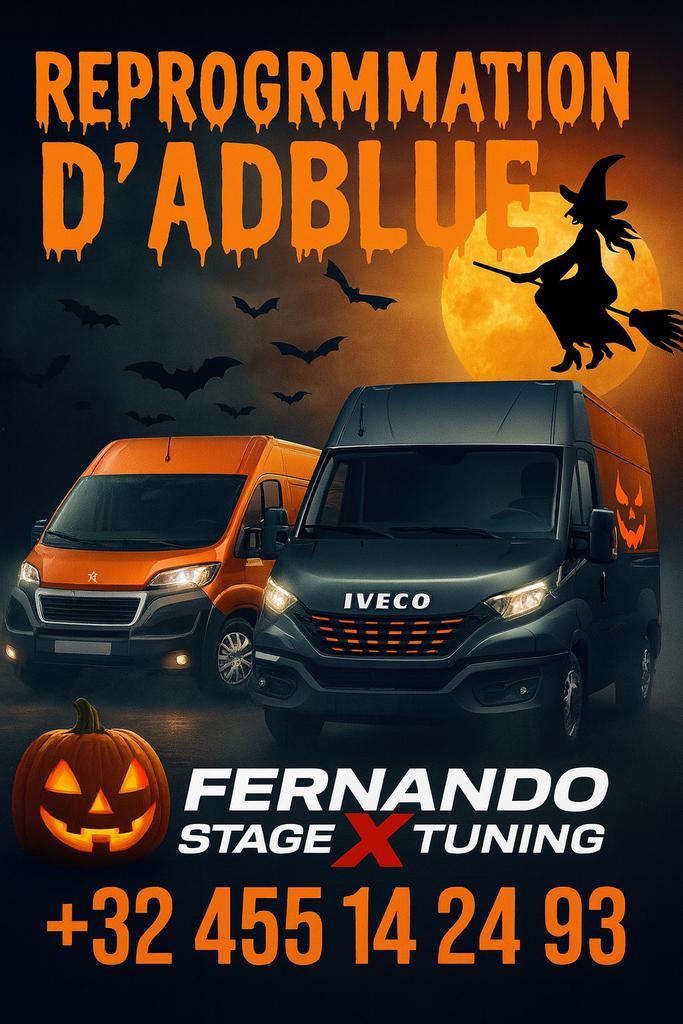 Suppression ADBLUE, Autos : Divers, Accessoires de voiture, Enlèvement ou Envoi