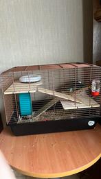 Hamsterkooi zonder toehoren, gekocht voor 80 €, Kooi, Minder dan 75 cm, Muis, Minder dan 60 cm