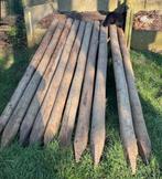 Stevige houten palen, Ophalen, Zo goed als nieuw, 250 cm of meer, Palen