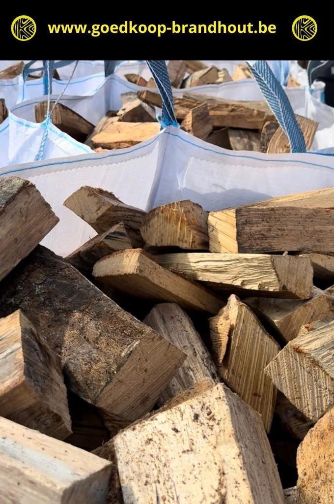 DROOG BRANDHOUT BEUK DIRECT BRANDBAAR in BIG BAGS 1m3, Tuin en Terras, Brandhout, Blokken, Beukenhout, 6 m³ of meer, Ophalen