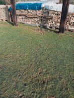 Brandhout Canada te koop - 90€/ m³, Tuin en Terras, Brandhout, Ophalen, Overige houtsoorten, Blokken