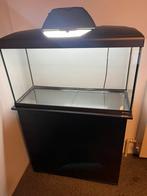 Aquarium met onderstel, Dieren en Toebehoren, Vissen | Aquaria en Toebehoren, Ophalen