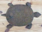 Gietijzeren Schildpad en Eekhoorn voor aan de muur of tuin, Ophalen of Verzenden, Zo goed als nieuw