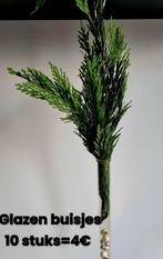 Buisjes NIEUW te gebruiken oa bij bloemschikken 10stuks 4€, Ophalen of Verzenden, Nieuw