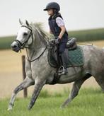 Belle jument arabe de 5 ans (1m47, D-poney), Animaux & Accessoires, B, Poney D (1.37 m à 1.48m), Vermifugé, Poney de saut