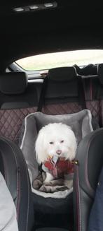 Autostoel hond, Dieren en Toebehoren, Honden-accessoires, Ophalen