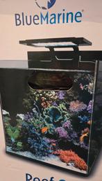Blue Marine nano led 15w Nieuw, Dieren en Toebehoren, Vissen | Aquaria en Toebehoren, Ophalen of Verzenden, Nieuw, Verlichting of Verwarming