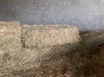 kleine balen hooi& stro, Dieren en Toebehoren, Ophalen