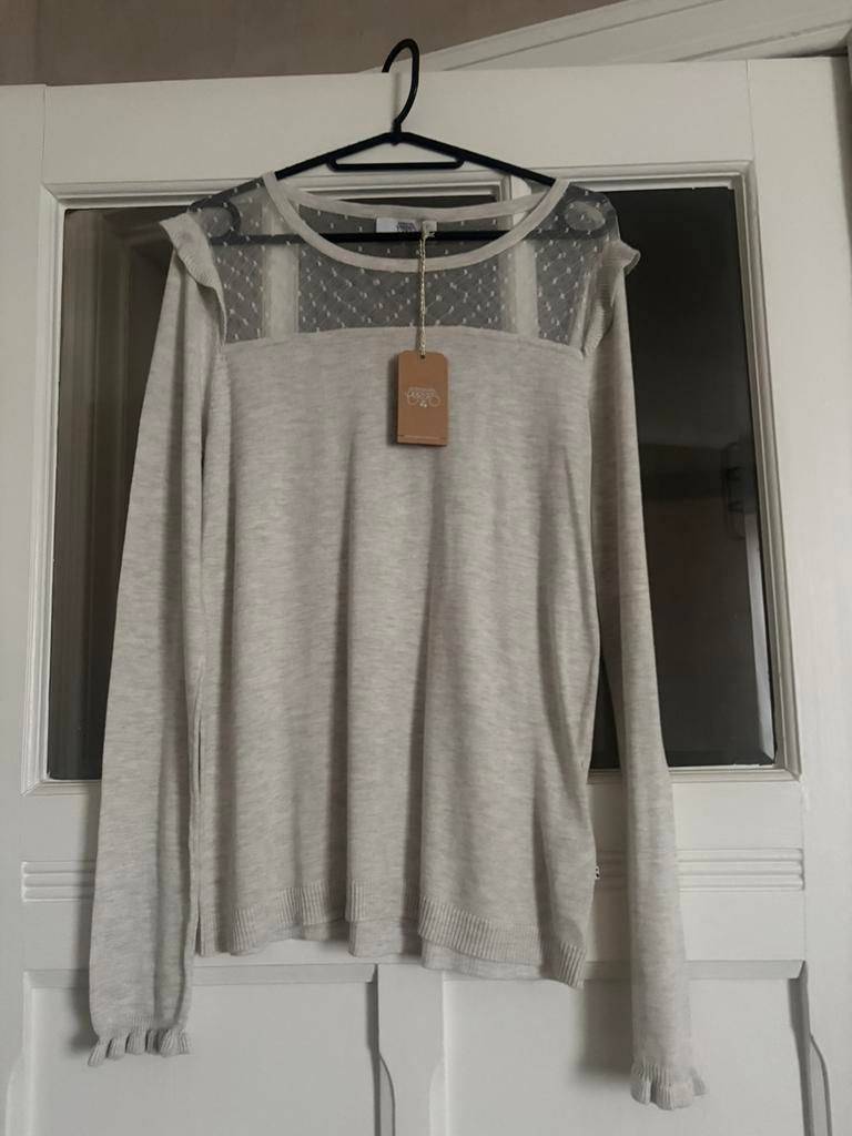 Nieuwe trui, Enlèvement ou Envoi, Neuf, Taille 38/40 (M), Beige