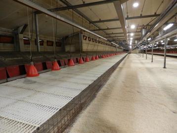 Pluimvee stalinrichting beschikbaar voor biedingen