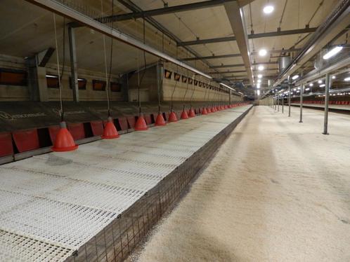 Pluimvee stalinrichting, Dieren en Toebehoren, Pluimvee | Toebehoren, Gebruikt, Ophalen