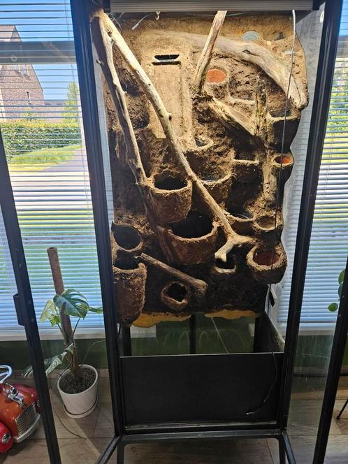 Plantenkast/ terrarium ikea kast, Dieren en Toebehoren, Reptielen en Amfibieën | Toebehoren, Zo goed als nieuw, Verlichting, Ophalen
