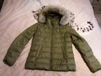 Winterjas dames Tommy Hilfiger, Comme neuf, Tommy Hilfiger, Vert, Taille 38/40 (M)