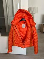 Moncler winterjas/ skijas, Moncler, Ophalen of Verzenden, Jack, Maat 36 (S)