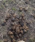 Gratis Bio-paardenmest, Tuin en Terras, Ophalen, Mest
