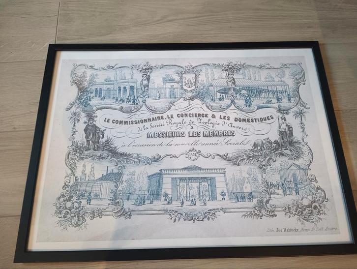 Zoo Antwerpen Print voor leden van de Antwerpse zoo KOPIE, Antiek en Kunst, Kunst | Tekeningen en Fotografie, Ophalen