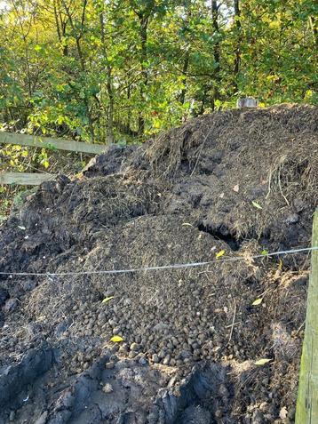 GRATIS paardenmest beschikbaar voor biedingen