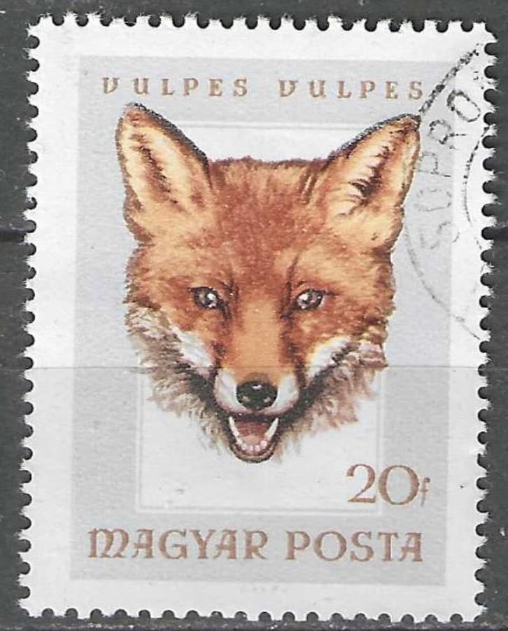 Hongarije 1966 - Yvert 1843 - Jachttrofeeen (ST), Postzegels en Munten, Postzegels | Europa | Hongarije, Verzenden